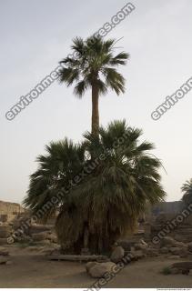 Karnak Temple Photo References #6